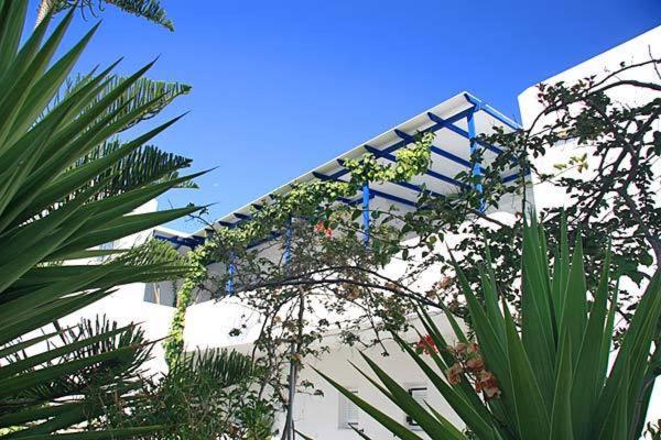 Loukia Apartments & Studios Naousa  Exterior photo