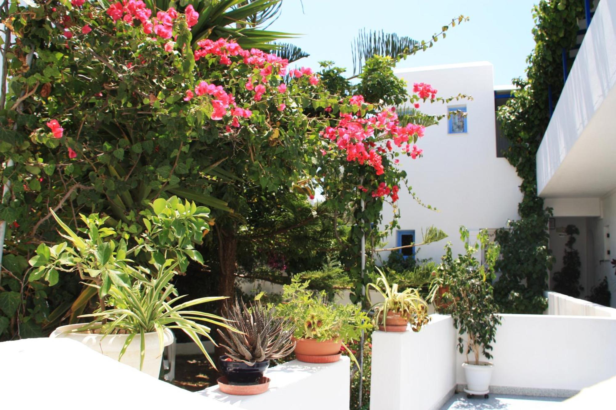 Loukia Apartments & Studios Naousa  Exterior photo
